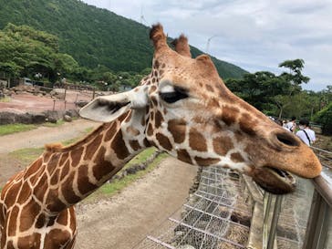 伊豆アニマルキングダムに投稿された画像（2020/7/25）