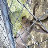 旭川市旭山動物園に投稿された画像（2020/7/25）