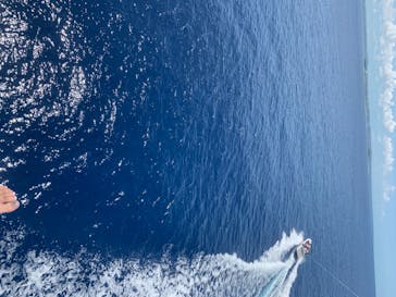 Sea World（シーワールド）に投稿された画像（2020/7/25）