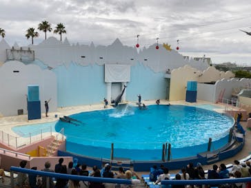 株式会社Gに投稿された画像（2020/7/25）