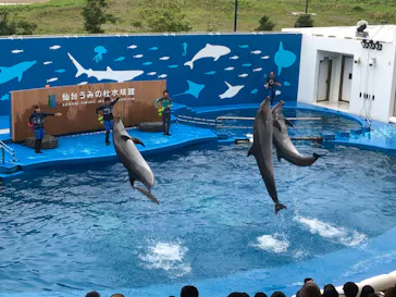仙台うみの杜水族館に投稿された画像（2020/7/25）