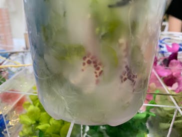 ずこうしつ〜sugamo〜に投稿された画像（2020/7/25）