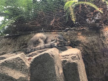 神戸どうぶつ王国に投稿された画像（2020/7/25）