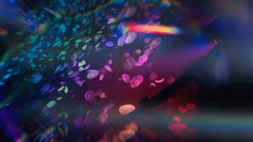 すみだ水族館に投稿された画像（2020/7/25）