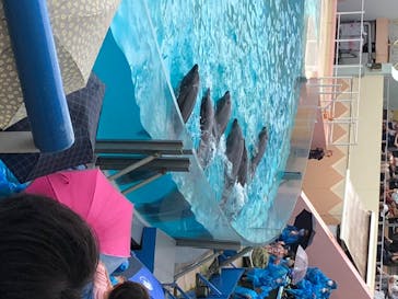 株式会社Gに投稿された画像（2020/7/25）