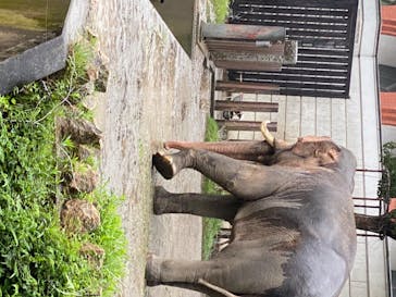 よこはま動物園ズーラシアに投稿された画像（2020/7/25）