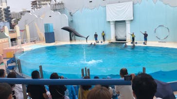 株式会社Gに投稿された画像（2020/7/25）