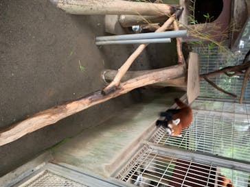 熱川バナナワニ園に投稿された画像（2020/7/25）