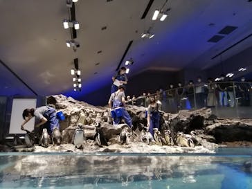 すみだ水族館に投稿された画像（2020/7/25）