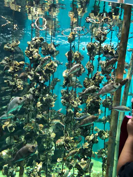 仙台うみの杜水族館に投稿された画像（2020/7/25）