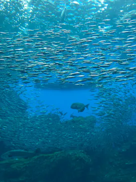 仙台うみの杜水族館に投稿された画像（2020/7/25）