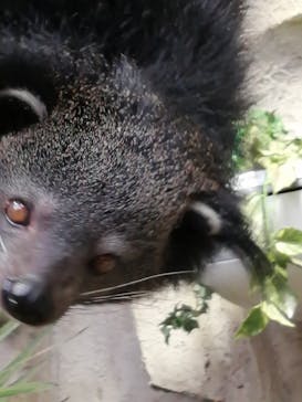 那須どうぶつ王国に投稿された画像（2020/7/25）