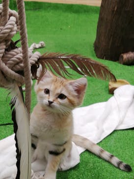 那須どうぶつ王国に投稿された画像（2020/7/25）