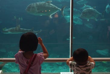 株式会社Gに投稿された画像（2020/7/25）