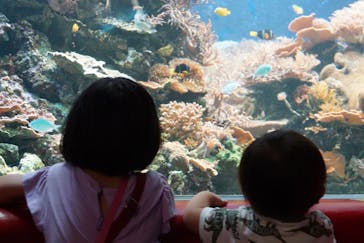 株式会社Gに投稿された画像（2020/7/25）