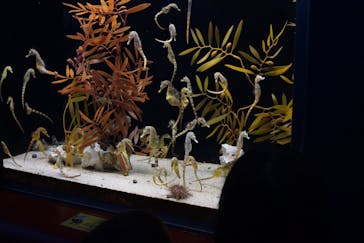 株式会社Gに投稿された画像（2020/7/25）