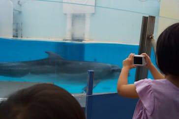 株式会社Gに投稿された画像（2020/7/25）