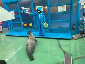 ゼロ距離水族館 伊勢シーパラダイスに投稿された画像（2020/7/25）