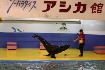 ゼロ距離水族館 伊勢シーパラダイスに投稿された画像（2020/7/25）