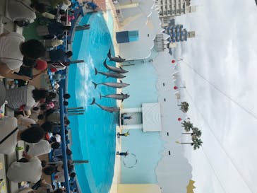 株式会社Gに投稿された画像（2020/7/24）