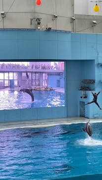 横浜・八景島シーパラダイスに投稿された画像（2020/7/25）