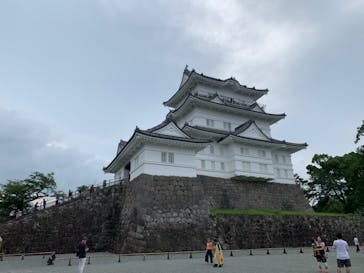 小田原城に投稿された画像（2020/7/25）