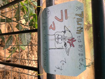 ネオパークオキナワに投稿された画像（2020/7/25）