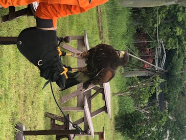 ネオパークオキナワに投稿された画像（2020/7/25）