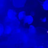 株式会社Gに投稿された画像（2020/7/25）