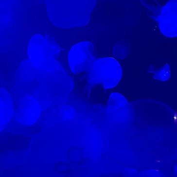 株式会社Gに投稿された画像（2020/7/25）