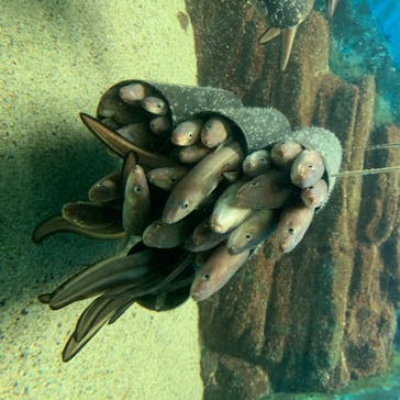 株式会社Gに投稿された画像（2020/7/25）