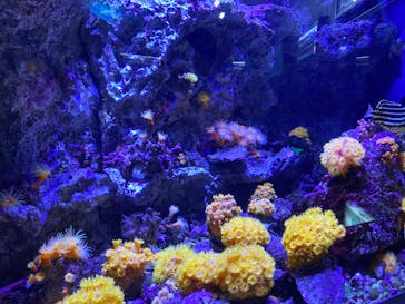 株式会社Gに投稿された画像（2020/7/25）