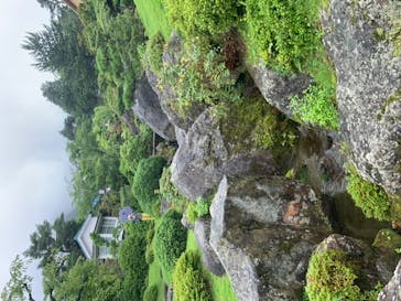 箱根美術館に投稿された画像（2020/7/25）