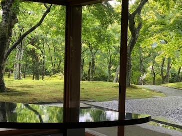 箱根美術館に投稿された画像（2020/7/25）