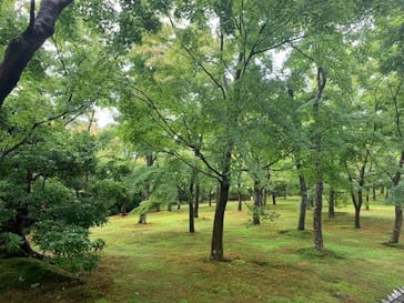 箱根美術館に投稿された画像（2020/7/25）