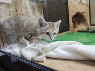 那須どうぶつ王国に投稿された画像（2020/7/26）