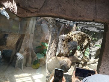 那須どうぶつ王国に投稿された画像（2020/7/26）