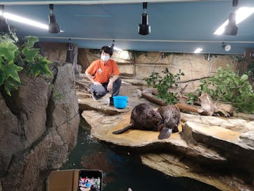 那須どうぶつ王国に投稿された画像（2020/7/26）