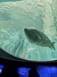 海遊館に投稿された画像（2020/7/26）