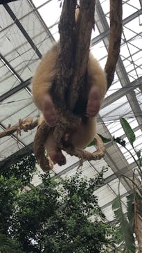 神戸どうぶつ王国に投稿された画像（2020/7/26）