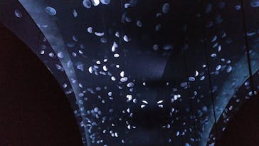 サンシャイン水族館に投稿された画像（2020/7/26）