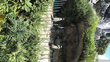 サンシャイン水族館に投稿された画像（2020/7/26）