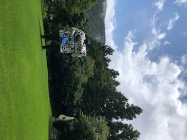 彫刻の森美術館に投稿された画像（2020/7/26）