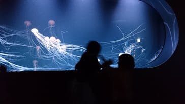 サンシャイン水族館に投稿された画像（2020/7/26）