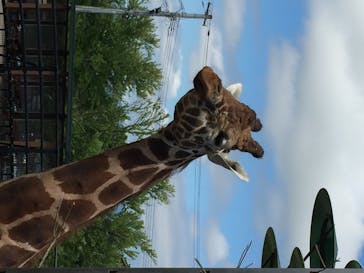 旭川市旭山動物園に投稿された画像（2020/7/26）