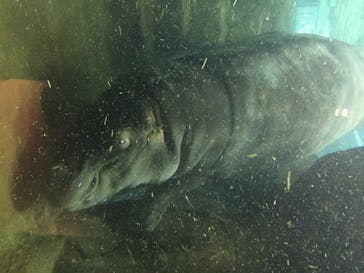 旭川市旭山動物園に投稿された画像（2020/7/26）