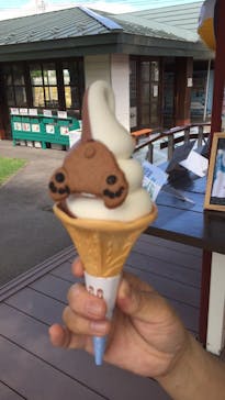 旭川市旭山動物園に投稿された画像（2020/7/26）