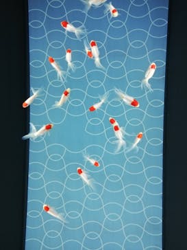 すみだ水族館に投稿された画像（2020/7/26）