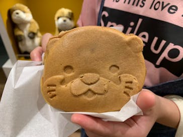 ゼロ距離水族館 伊勢シーパラダイスに投稿された画像（2020/7/26）