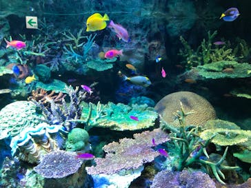 サンシャイン水族館に投稿された画像（2020/7/26）